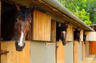 free Pen Y Park stable construction quotes